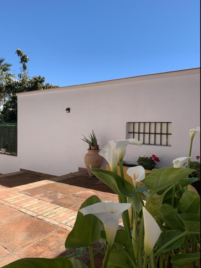 A Estrenar Preciosa Suite-Centrico-Con Jardin Y Porche Торремолинос Экстерьер фото